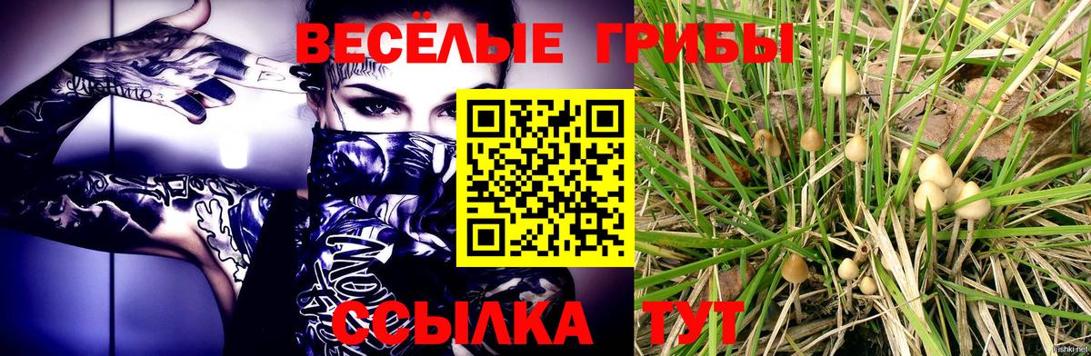 Галлюциногенные грибы Cubensis Железноводск